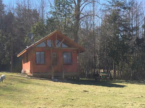 One-Bedroom House image 6