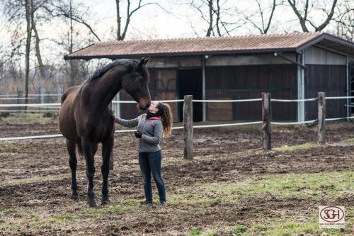 San Giacomo Horses & Agriturismo – Arluno, DC
