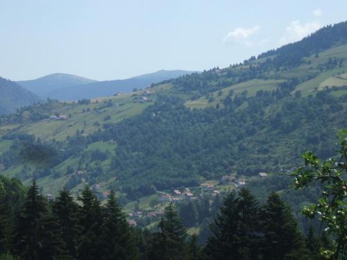 La Ferme du Vieux Sapin