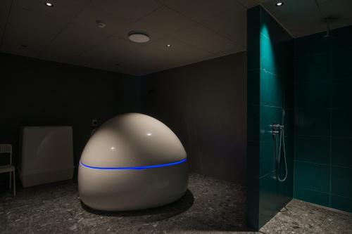 Northern Light Inn - image 3