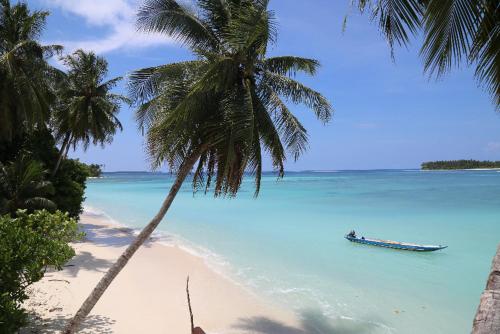 Vue extérieure, Nyang Ebay Surf Camp Siberut in Katurai