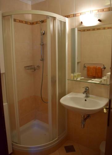 Guest House Pod Grebenom - image 14