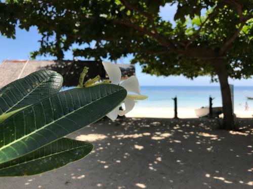 No Name Bungalow – Ko Pha Ngan, UT