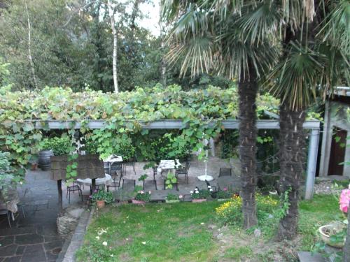 Grotto Pergola - image 13
