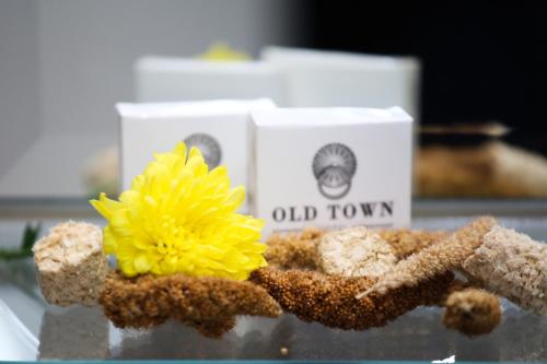 Old Town Hotel - image 2