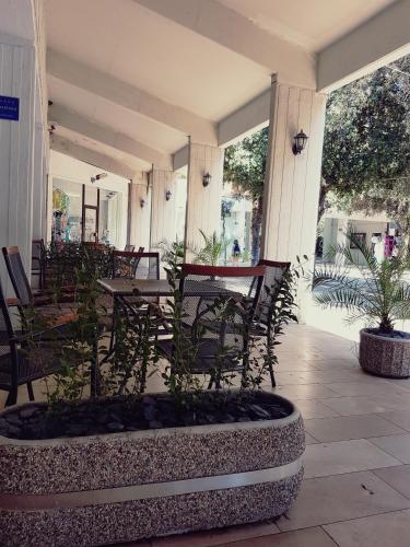 Apartments Mali Stradun - image 7
