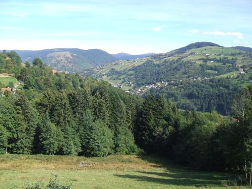 La Ferme du Vieux Sapin – La Bresse, NM