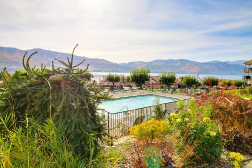 Lake Chelan Shores