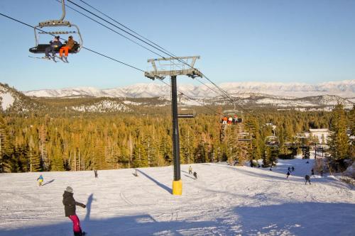 Mammoth Green Condos - image 7