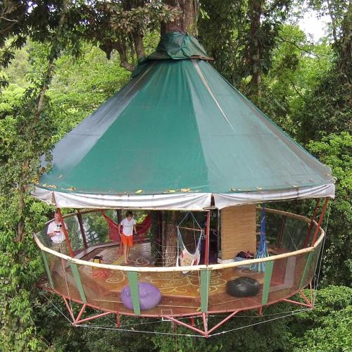 

Nature Observatorio Treehouse Tours Puerto Viejo