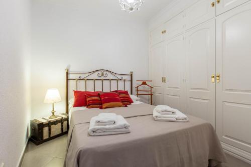 Apavonia Apartamento Madrid Centro Calle Toledo - image 3