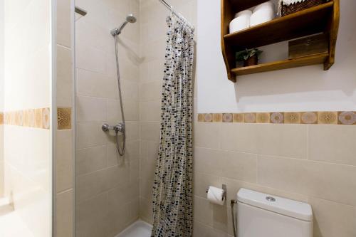 Apavonia Apartamento Madrid Centro Calle Toledo - image 6