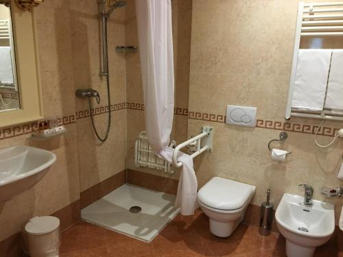 Royal San Marco Hotel - image 12