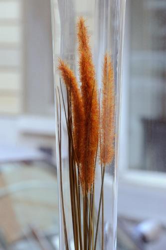 Auriane Porte De Versailles - main image