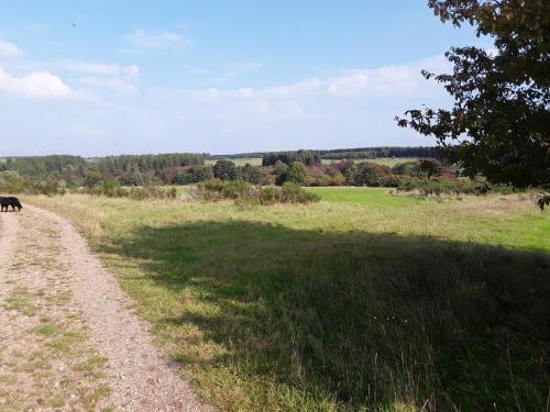 Pöhl am Nationalpark Eifel - image 13