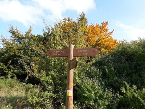 Pöhl am Nationalpark Eifel - image 7