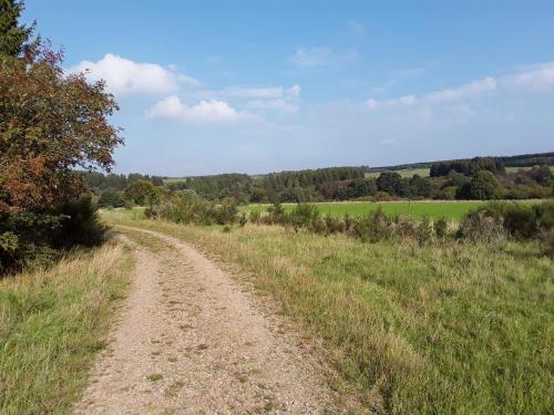 Pöhl am Nationalpark Eifel - image 6