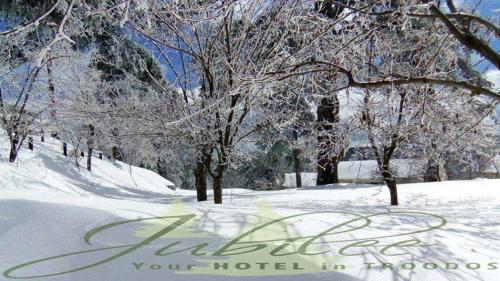 Jubilee Hotel Troodos - image 5