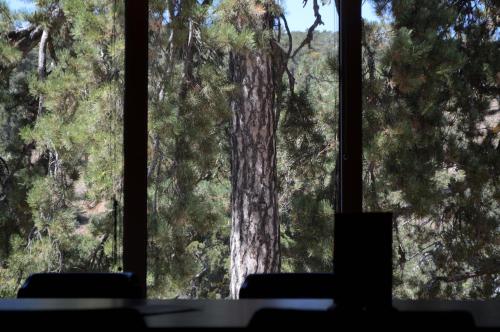Jubilee Hotel Troodos - image 6