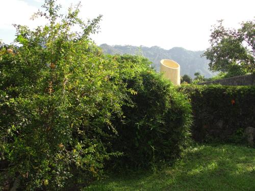 Las Casitas Tepoztlán - image 12