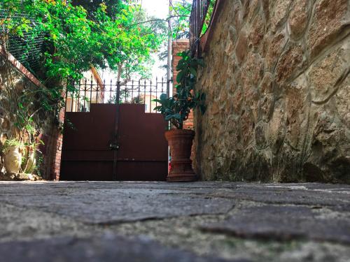 Citta Giardino B&B - image 11