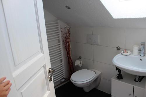 Apartment am Stadtsee in Molln