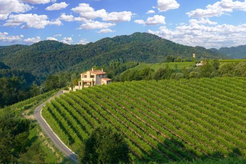 Villa Prosecco - image 13