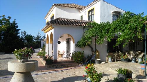 Casa Santa Ana - image 5