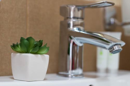 Photo - Vila Mărioara