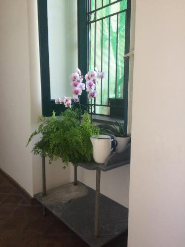 BBCasablu Room Type - Standard Apartment