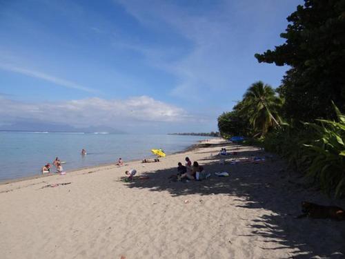 Pension TE MITI - PLAGE-BEACH 200m - Mahana Parc & Vaiava Beach pk18 - B&B CHAMBRES ou DORTOIR