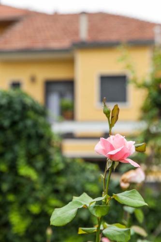 Torino Mon Amour - image 5