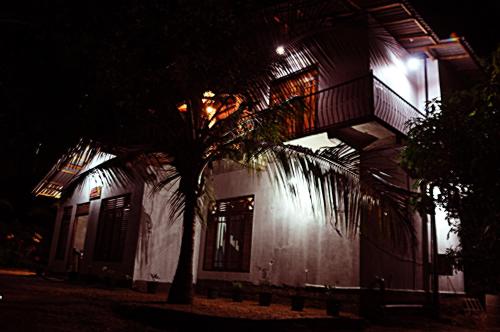 Coconut Garden House