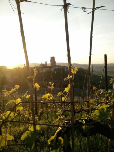 Viesnīcas āriene, Casa Vacanze Bellovello in Barbaresco