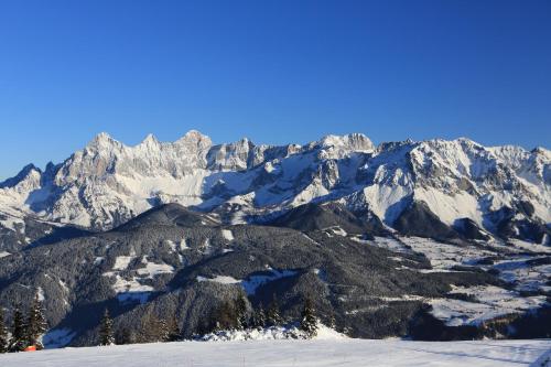 Haus Alpina - image 6