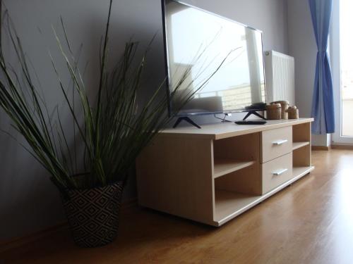 livingROOM_Wroc_Mosiężna, Wrocław (zdjęcie 10)