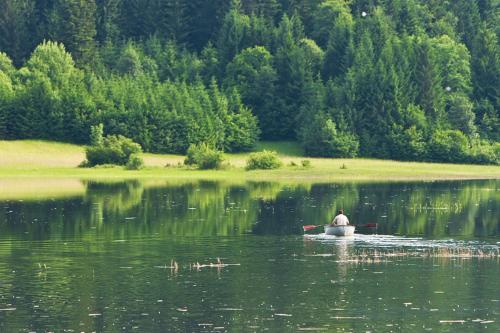 Idyllic place near Cerknica Lake