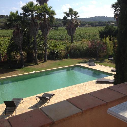 Clos des Vignes Pampelonne Vineyard - image 3