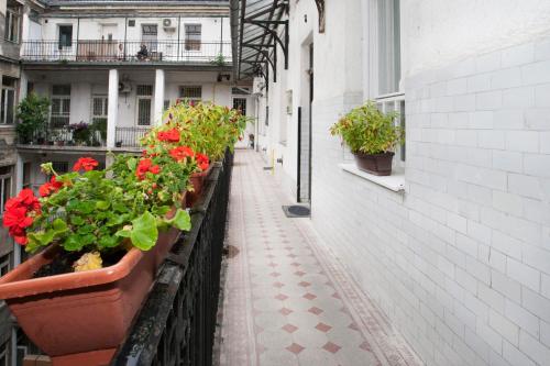 Ariel Studio Close to St. Stephen Basilica - image 5