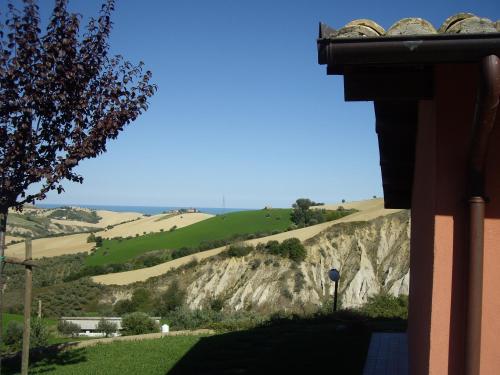 Agriturismo Il Borgo Degli Ulivi - image 8