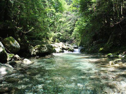 Tsukinose Onsen Botansou Kushimoto