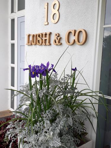 Lush & Co Auckland Bed & Breakfast, Auckland (Foto 10)