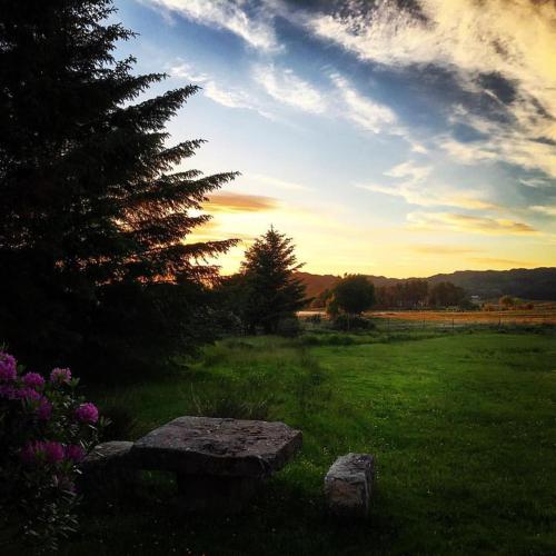 花園, 羅馳施爾酒店 (Loch Shiel Hotel) in 阿哈勒豪