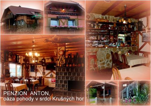 Restaurant Pension-Anton - Accommodation - Jáchymov