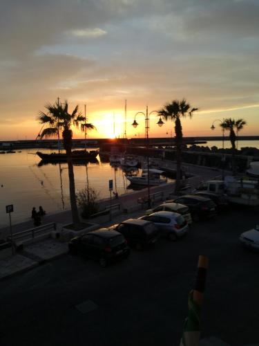 Blue Moon Hotel - image 11