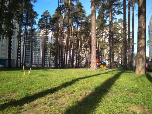 Apartment-studio Royal Forest - main image