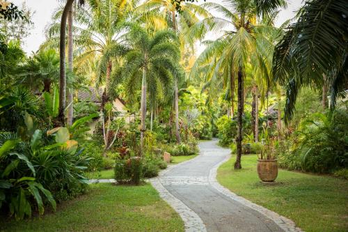 114338450 ROBINSON KHAO LAK