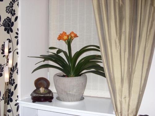 Alba Guest House - image 2