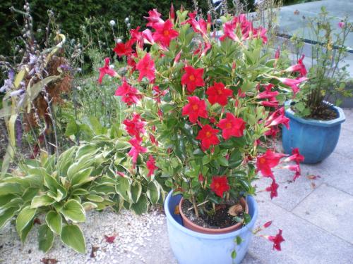 多哈姆公寓 多哈姆公寓