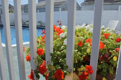 Flagship Motorcourt - 정원